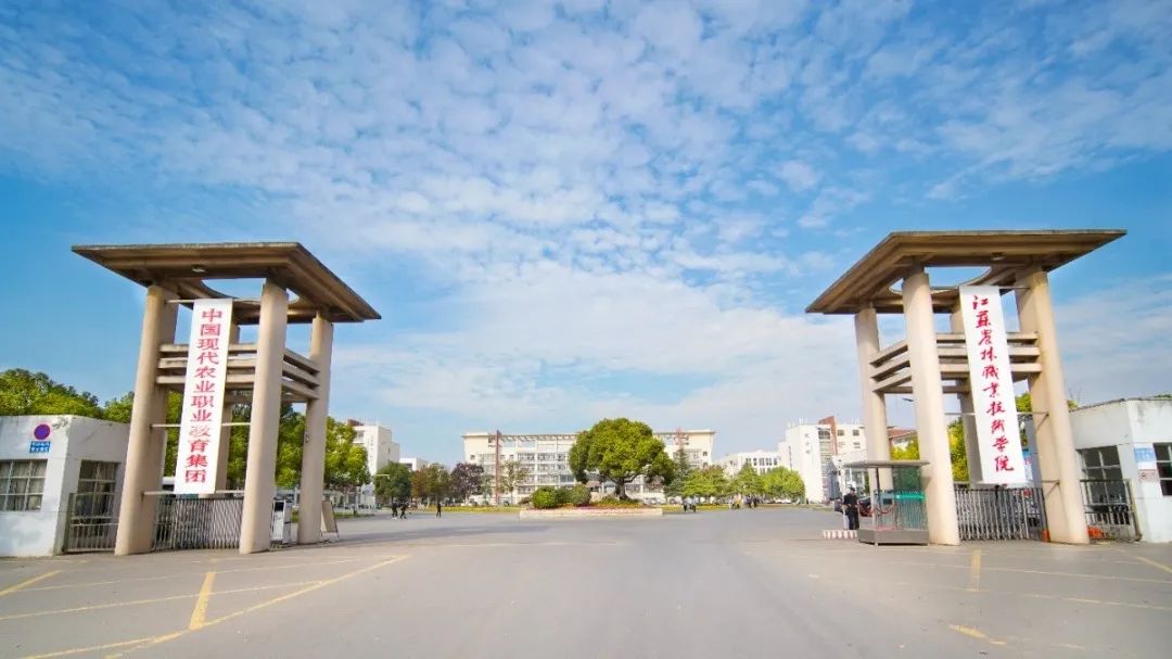 未畢業就定崗，一畢業就任教大學……這所職校的學生緣何這么牛？